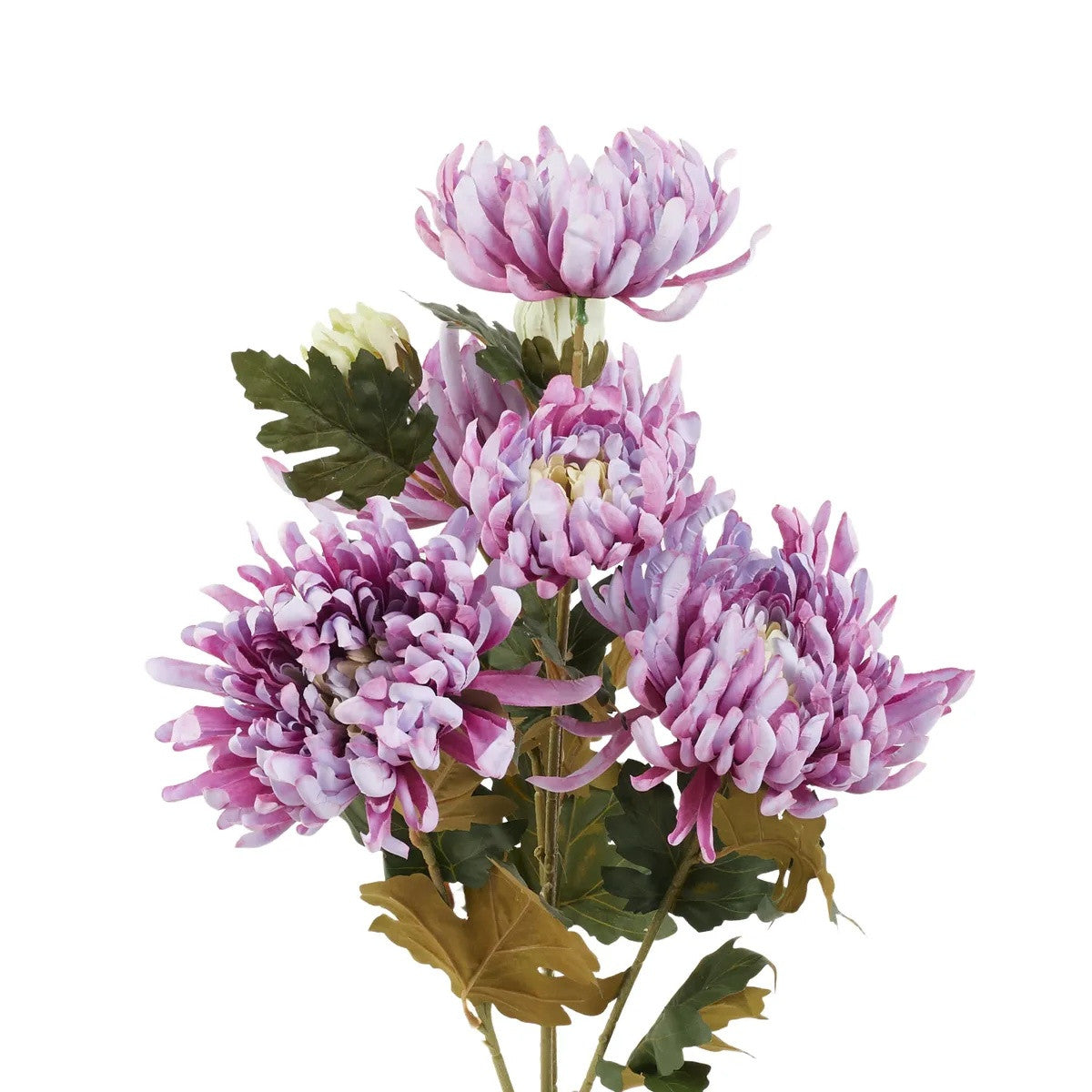 Violetti tekokrysanteemin kimppu