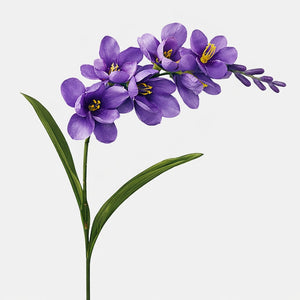 Violetti