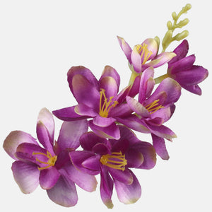 Violetti