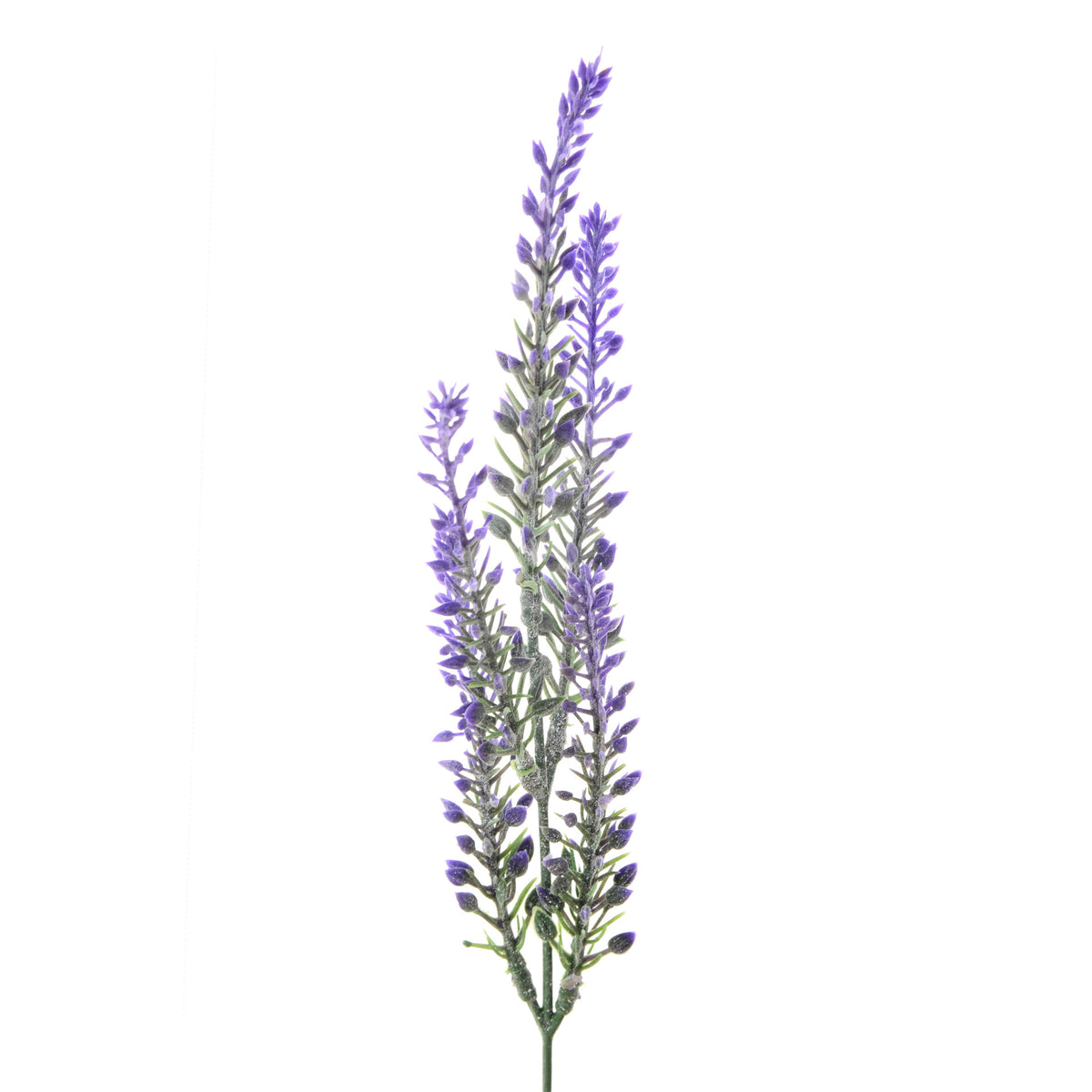 Violetti tekolaventelin kukkavarsi, 33 cm