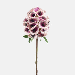 Violetti