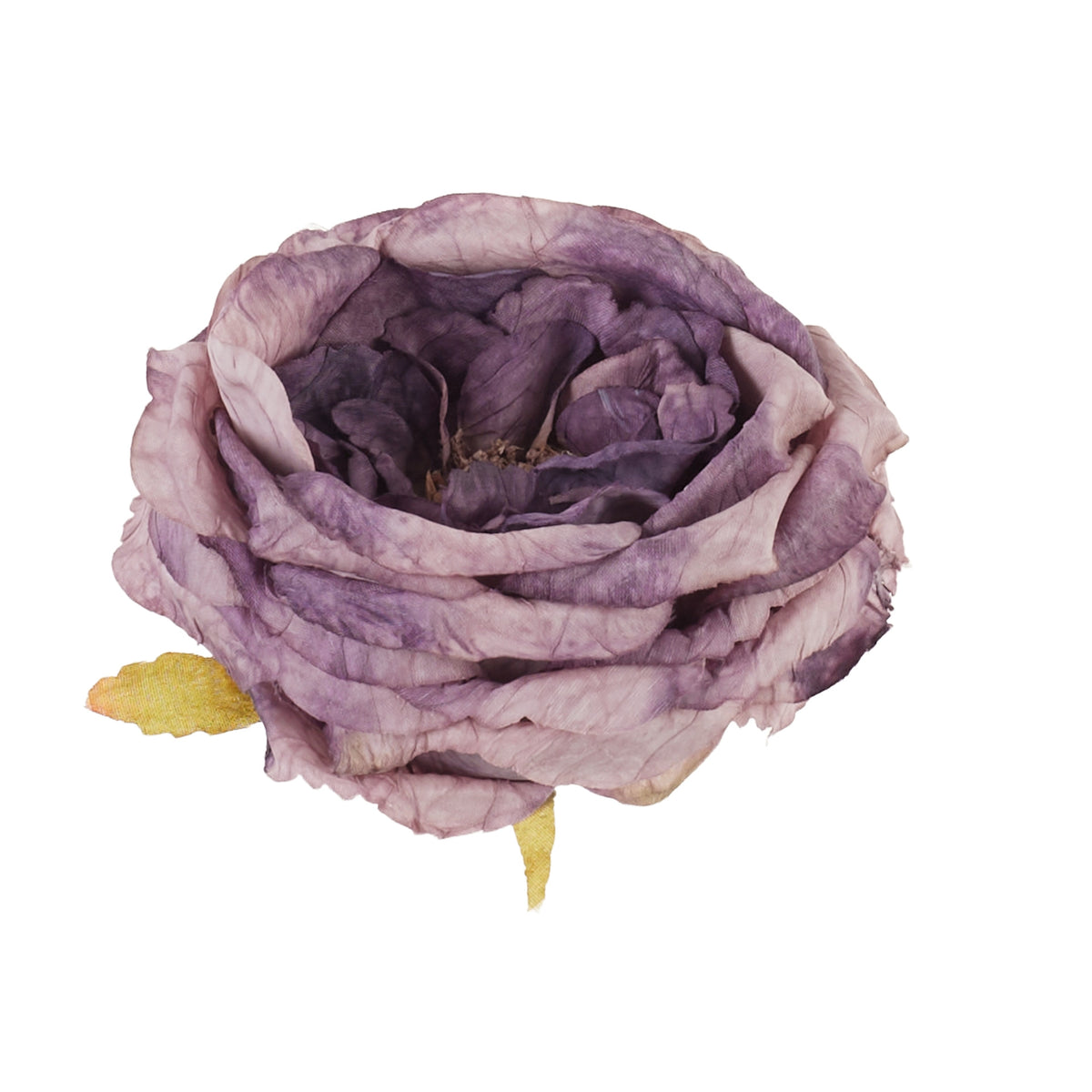 Violetti tekopionin kukkapää