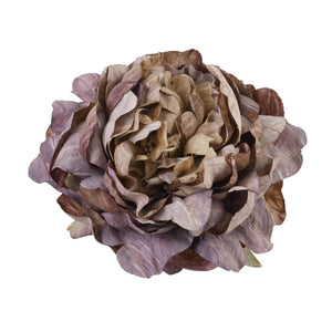 Violetti