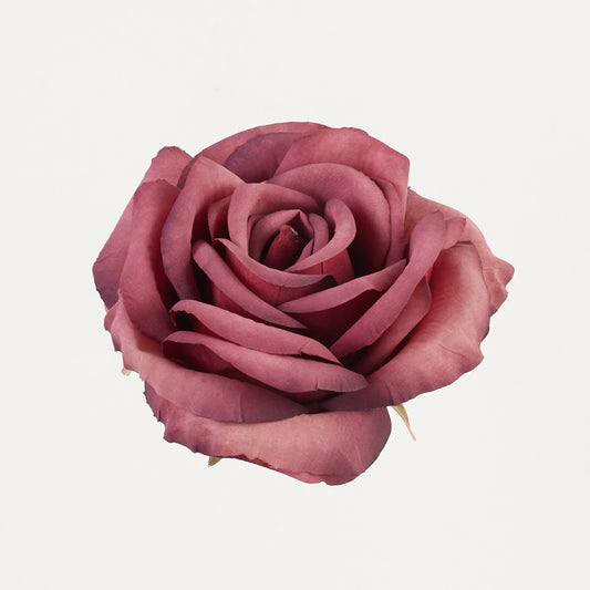 Violetti tekoruusun kukkapää, 7 cm