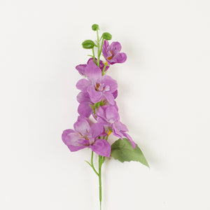 Violetti
