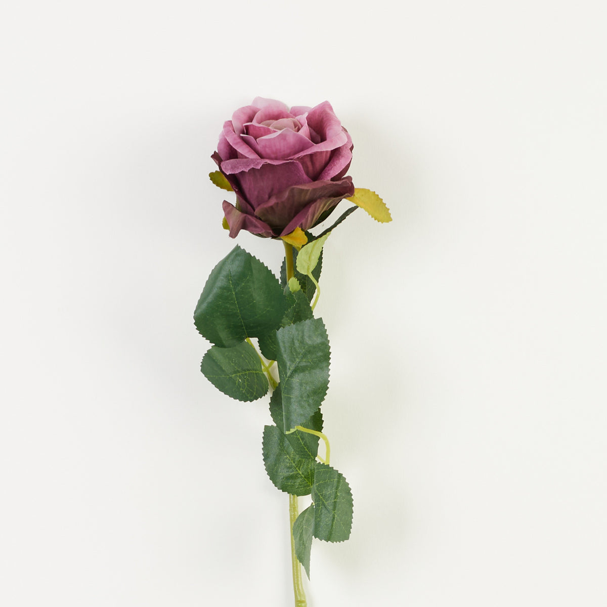 Violetti tekoruusun kukkavarsi