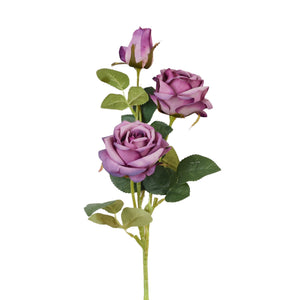 Violetti