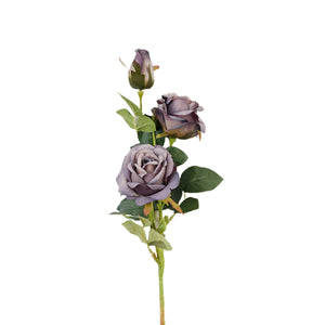 Violetti