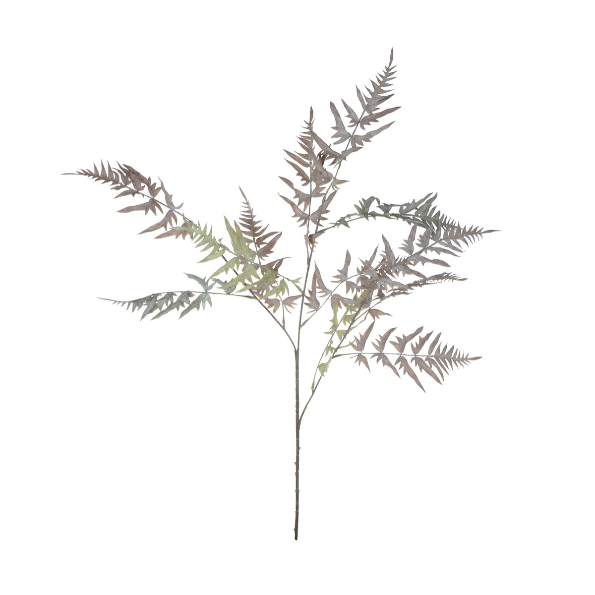 Violetti/tumma/vihreä saniainen – tekoköynnös, 98 cm