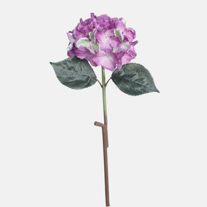 Violetti/Vihreä