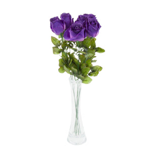 Violetti/Violetti