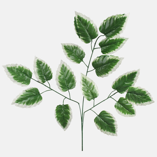 Jalava spray Vihreä/kermanvärinen reuna - Tekokukat.fi