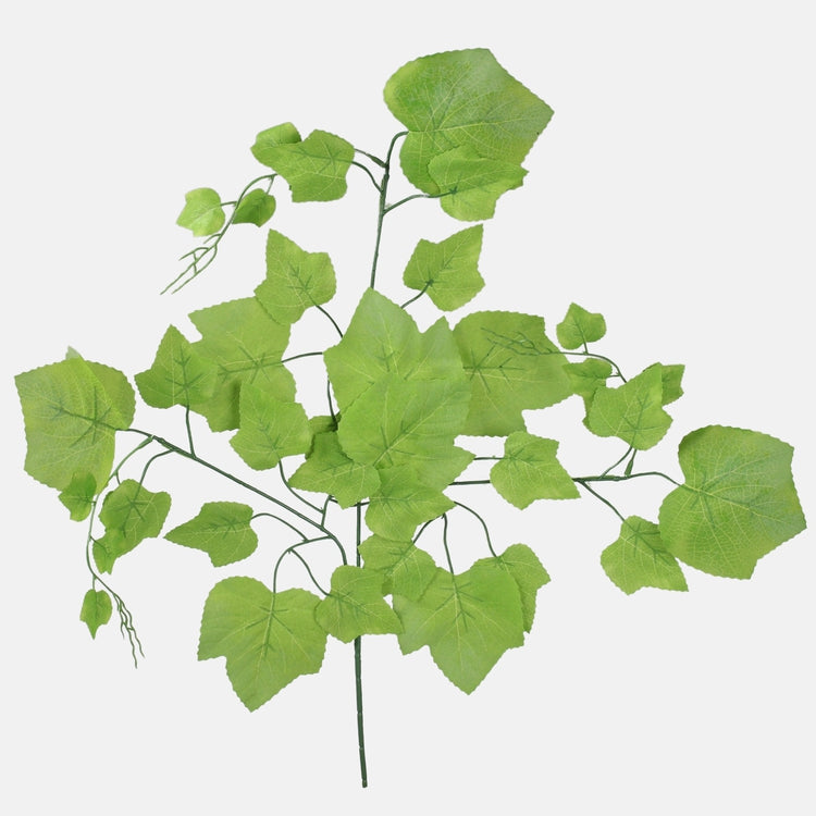 Rypäleen muratti Luutnantti Green - Tekokukat.fi