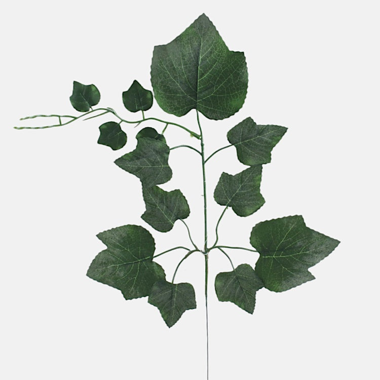 Viiniköynnös 1 x 9 Pakkasvihreä - Tekokukat.fi