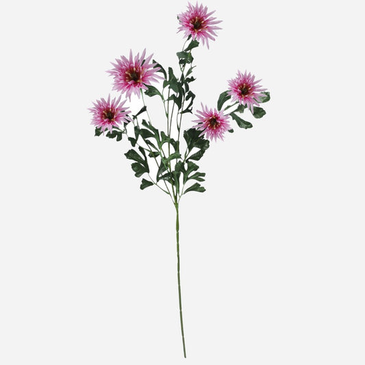 Pyretrum Vaaleanpunainen - Tekokukat.fi