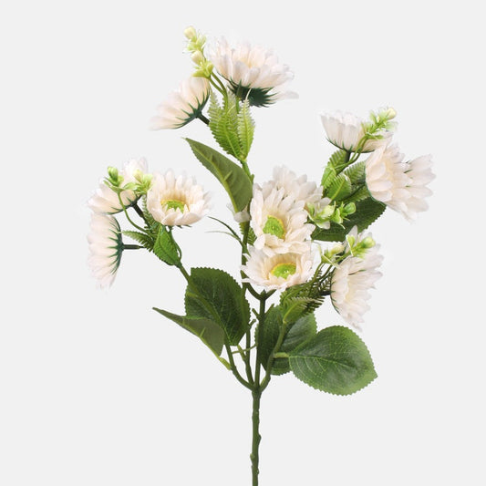 Pyretrum tekokukka kerma - Tekokukat.fi