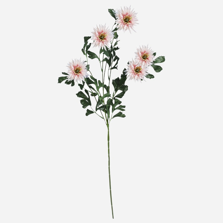 Pyretrum Luutnantti Pink - Tekokukat.fi